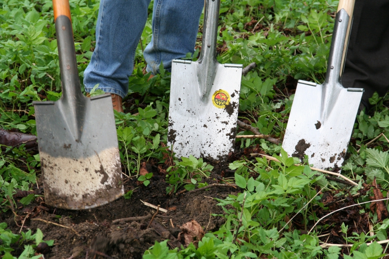 pepiniere-LA ROQUETTE SUR VAR-min_work-lawn-flower-tool-green-backyard-1103633-pxhere.com